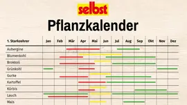 Pflanzkalender