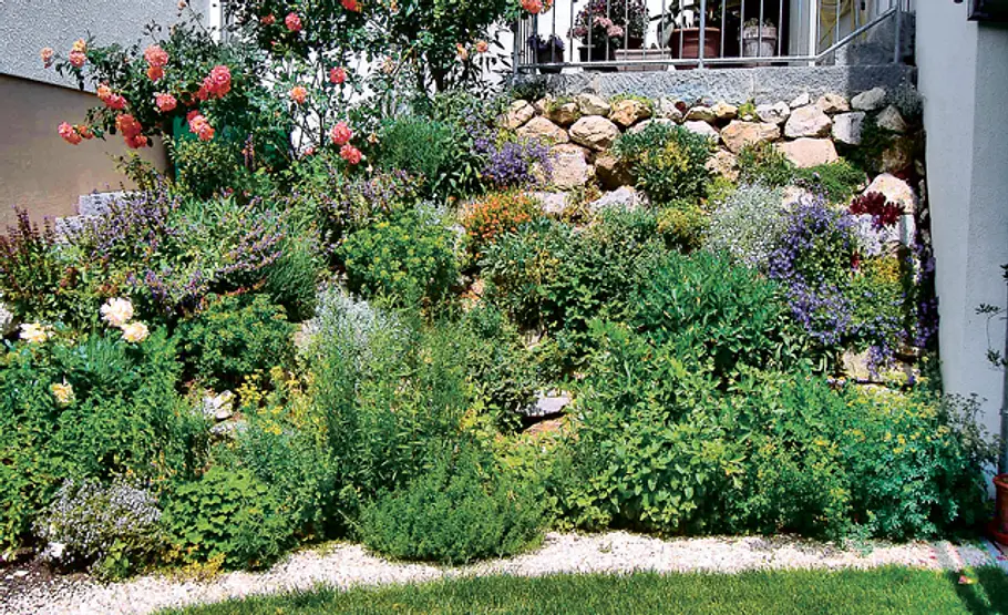 Tipps für einen pflegeleichter Garten Pflegeleichter Garten