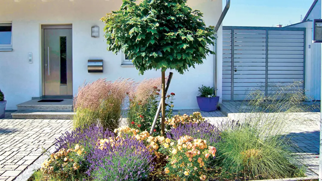 pflegeleichter Garten - Foto: sidm / Archiv pflegeleichter Garten - Foto: sidm / Archiv