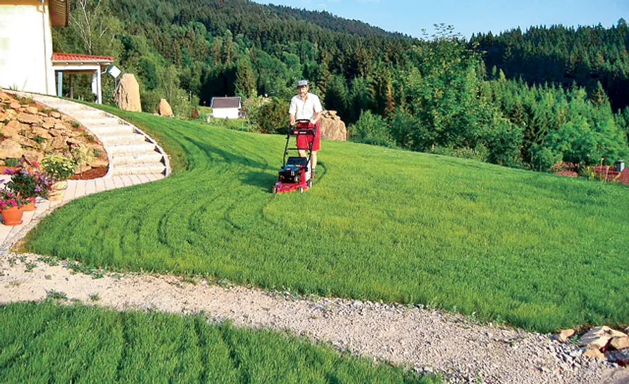 Tipps für einen pflegeleichter Garten Pflegeleichter Garten