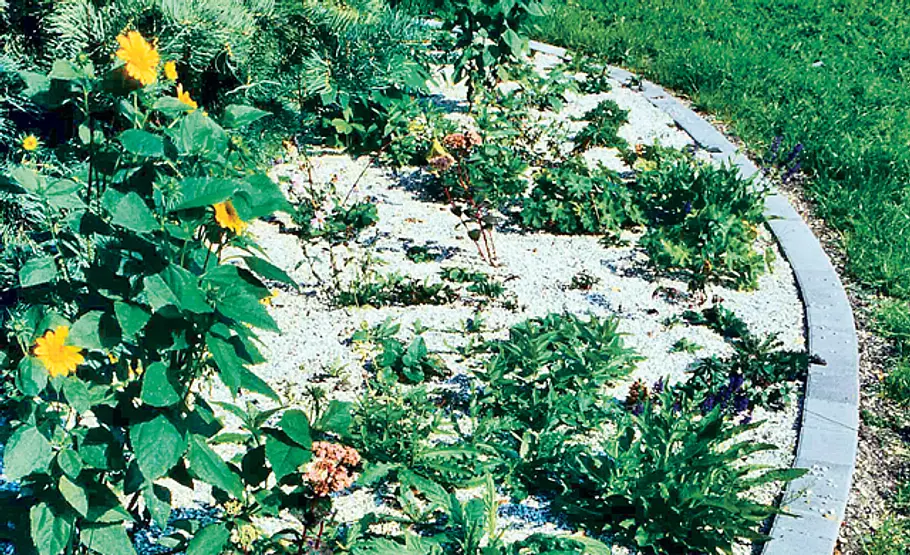 Tipps für einen pflegeleichter Garten Pflegeleichter Garten