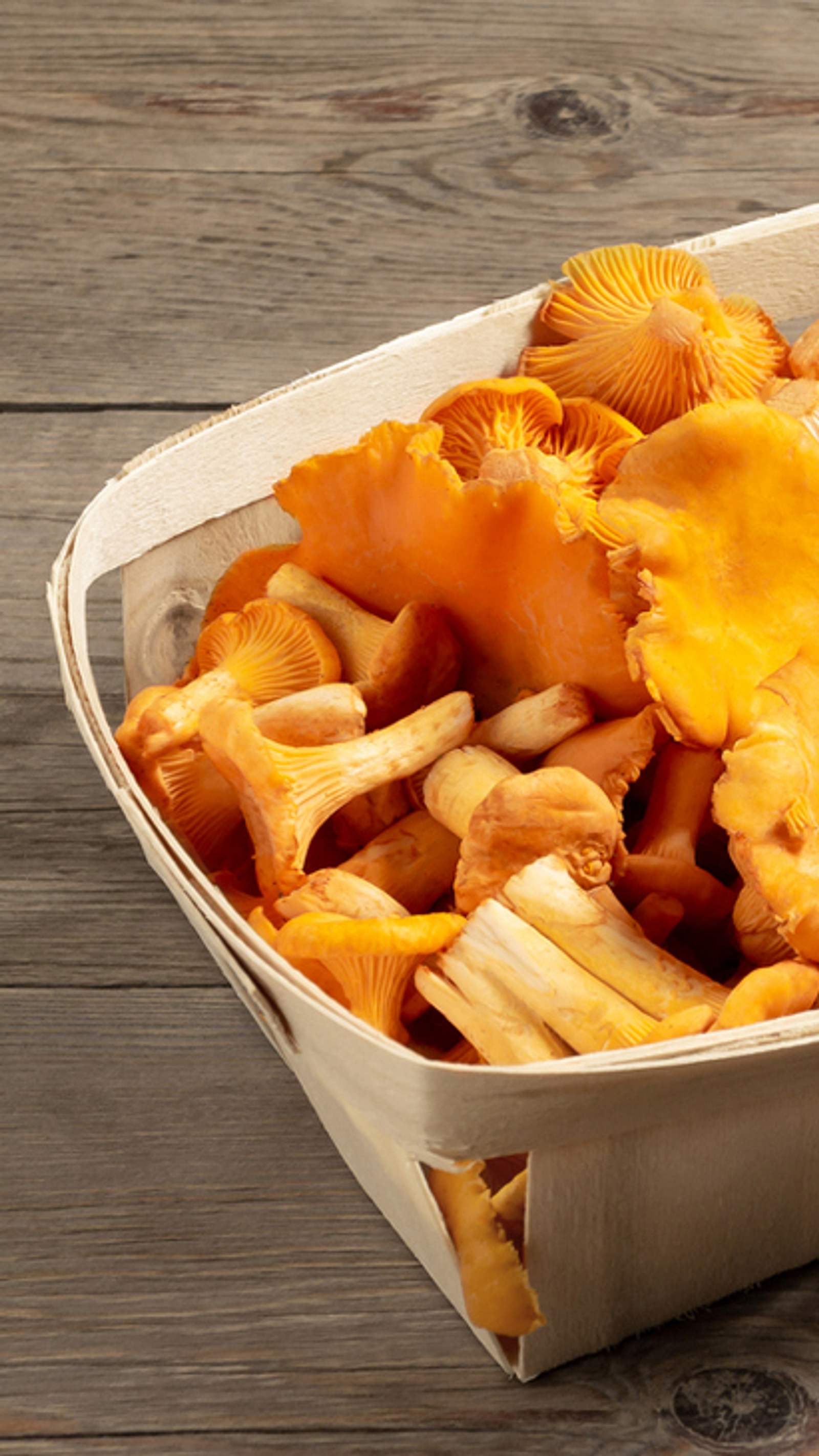 Richtig lagern: Pilze lnger haltbar machen | Selbst