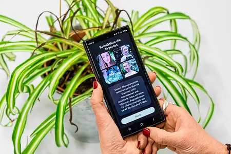 Planta App auf dem Smartphone im Hintergrund eine grüne Zimmerpflanze