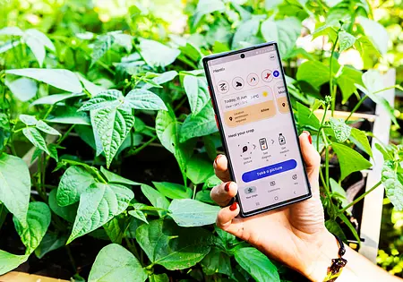 Plantix Pflanzen App Plantix Pflanzen App