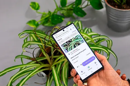 Plantix Pflanzen App Plantix Pflanzen App