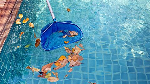 Pool reinigen - Foto: iStock/Bignal