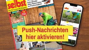 Bekommen Sie alle News jetzt auch aufs Smartphone! - Foto: sidm / Archiv