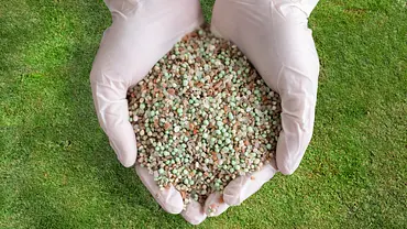 Rasendünger mit Unkrautvernichter - Foto: iStock/ AndreyPopov Rasendünger mit Unkrautvernichter - Foto: iStock/ AndreyPopov