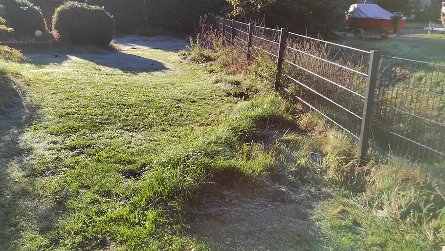 Das kantennahe Mähen ist vor allem am Gartenzaun problematisch. Blick auf einen Garten mit Beeten und einem Zaun.