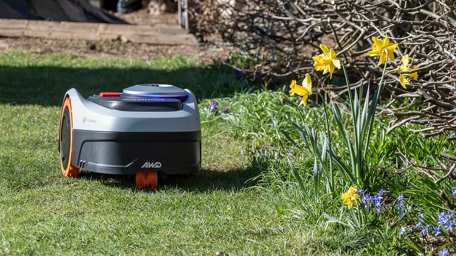 Grauer Mähroboter mit orangefarbenen Rädern fährt auf einem grünen Rasen neben gelben Narzissen und blühenden Frühlingspflanzen in einem Garten.