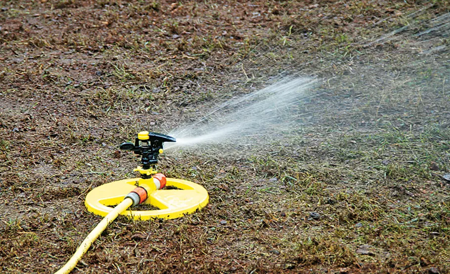 Rasen im Frühjahr vorbereiten Rasenpflege: Fit für den Frühling