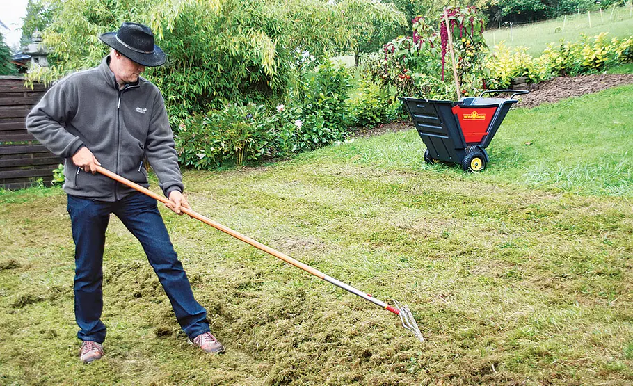 Rasen im Frühjahr vorbereiten Rasen