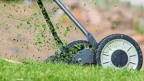 Rasenpflege in Frühling - Foto: Counselling / pixabay