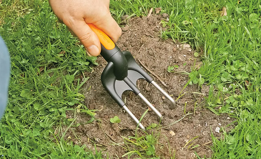 Die 5 häufigsten Rasenprobleme Rasenpflege