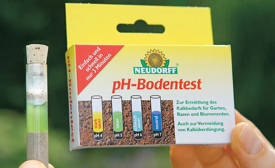 Die 5 häufigsten Rasenprobleme Garten