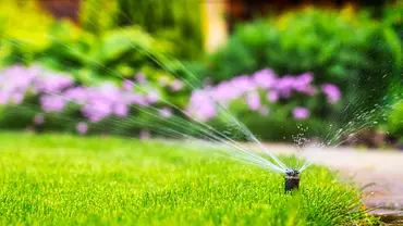 Rasensprenger versenkbar: Die clevere Bewässerung im Garten - Foto: iStock/ MaYcaL Rasensprenger versenkbar: Die clevere Bewässerung im Garten - Foto: iStock/ MaYcaL
