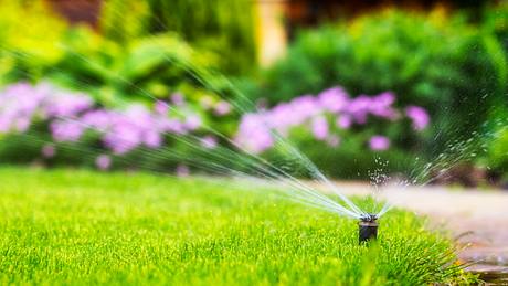 Rasensprenger versenkbar: Die clevere Bewässerung im Garten - Foto: iStock/ MaYcaL