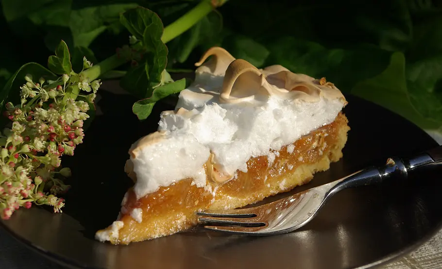 Rhabarber-Kuchen gehört zu den leckersten Rezepten. Rhabrber-Kuchen