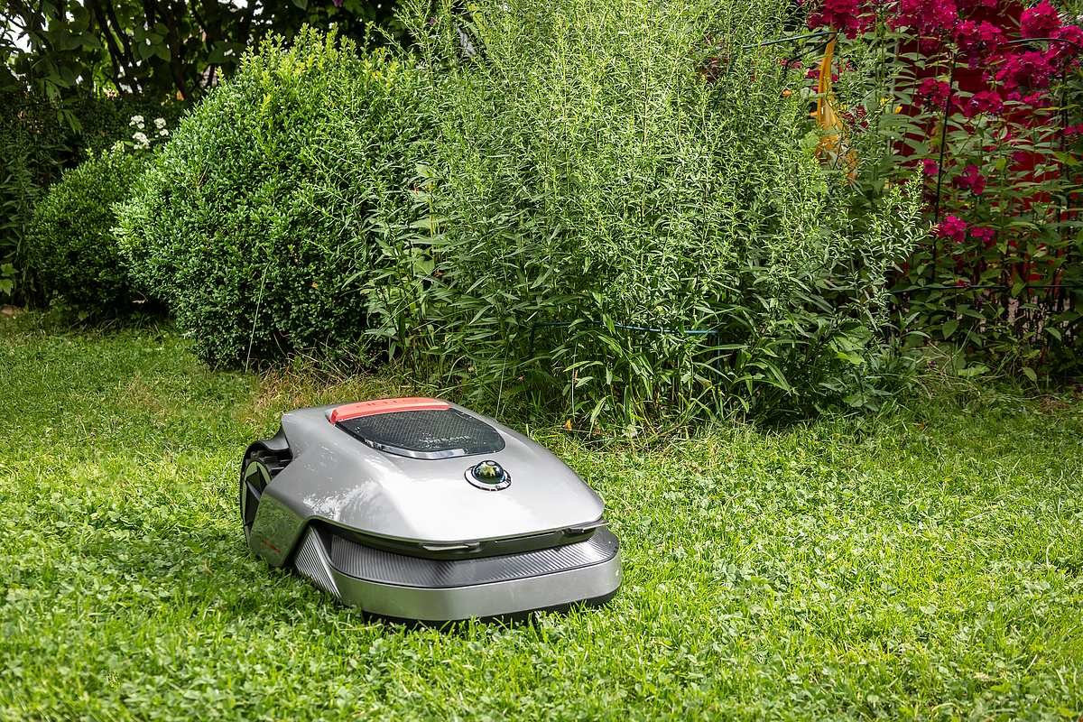 Roboticmower A1 von Dreame im Garten