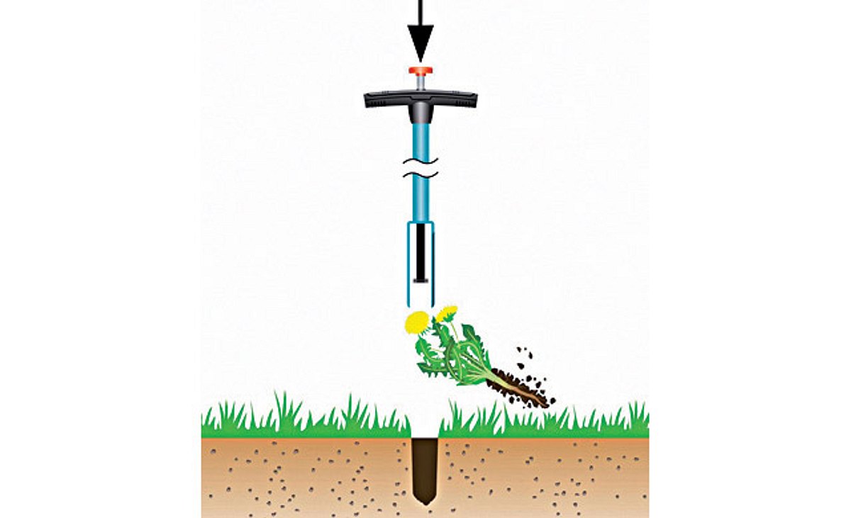 Unkraut im Rasen: Unkrautvernichter