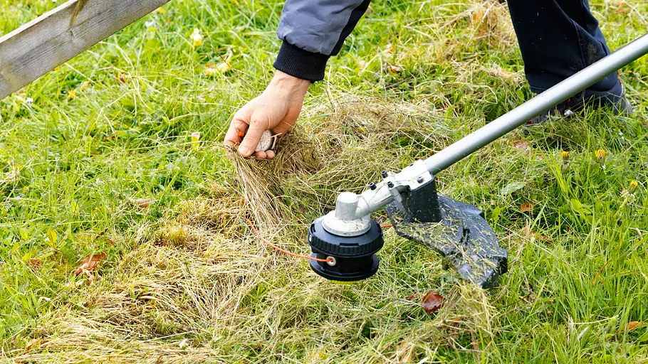 Ryobi Freischneider im Test Ryobi Freischneider im Test