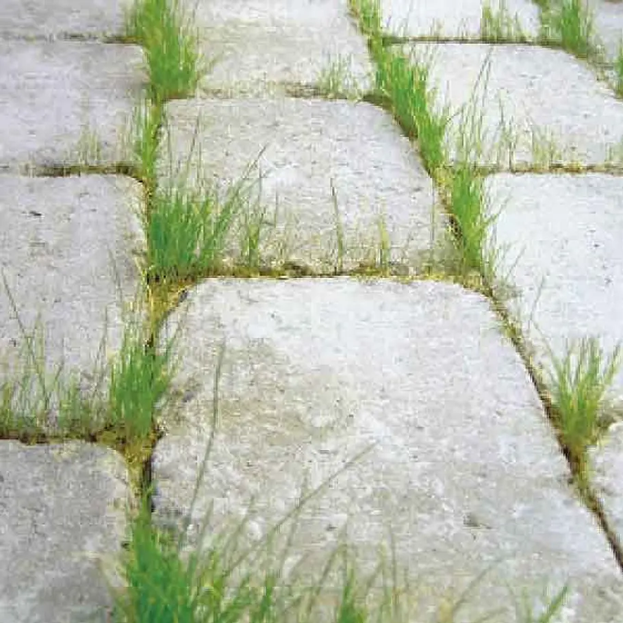 Pflaster verfugen gegen Unkraut: Schritt 1 von 5 Unkrautfreies Pflaster