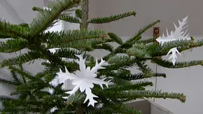 Scherenschnitt Schneeflocke hängt im Weihnachtsbaum - Foto: selbst Scherenschnitt Schneeflocke hängt im Weihnachtsbaum - Foto: selbst