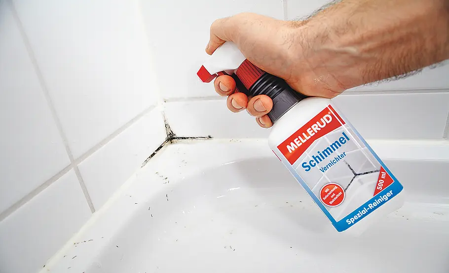 Schimmelentferner Schluss mit Schimmel