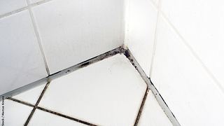 Schimmel in der Dusche - Foto: iStock / Marcus Krauss