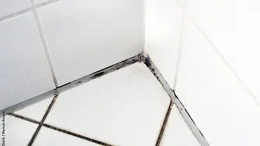 Schimmel in der Dusche - Foto: iStock / Marcus Krauss Schimmel in der Dusche - Foto: iStock / Marcus Krauss