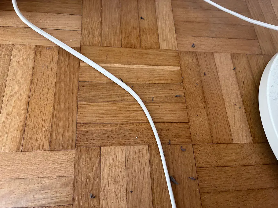 Fester Dreck am Boden Saugroboter klebt Schmutz am Boden fest