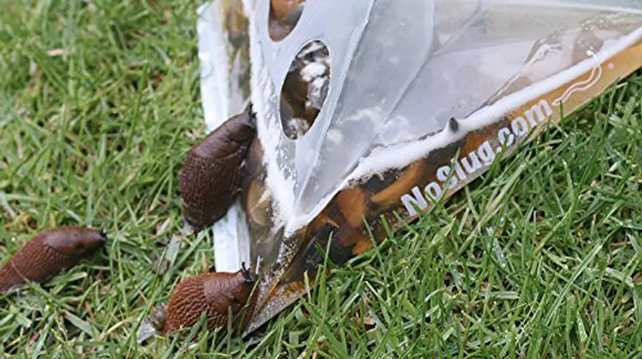 Bedienungsanleitung für Einweg-Bierfalle von NoSlug