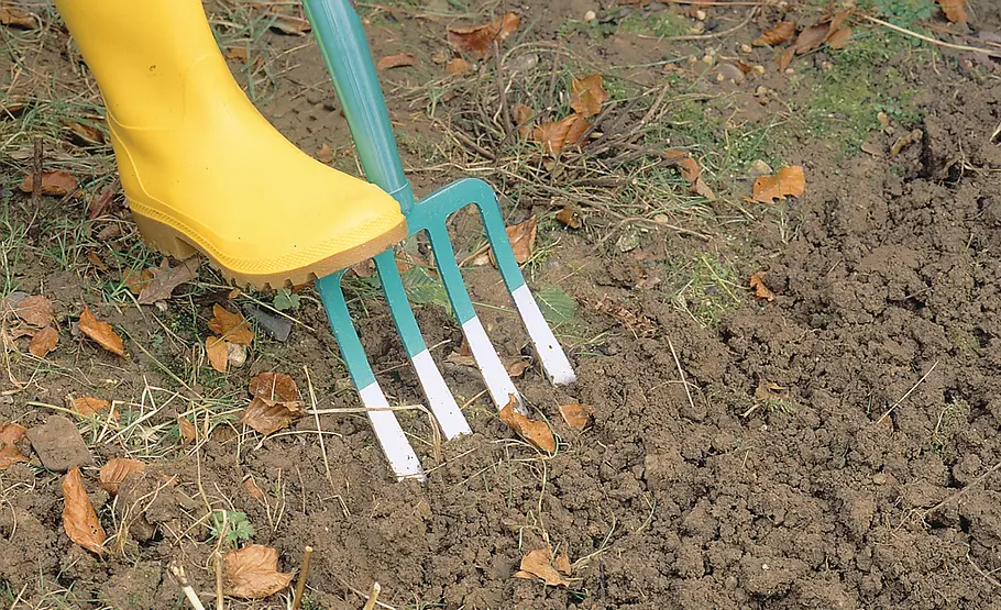 Eigelege der Schnecke entfernen Schneckeneier ausgraben