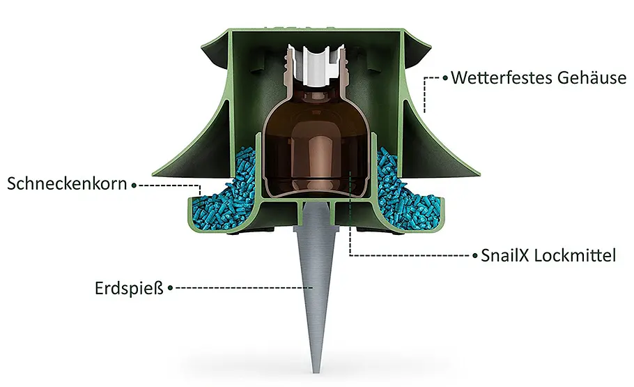 Schneckenfalle