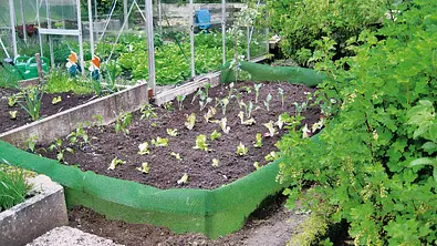 Schneckenzaun  | selbst.de