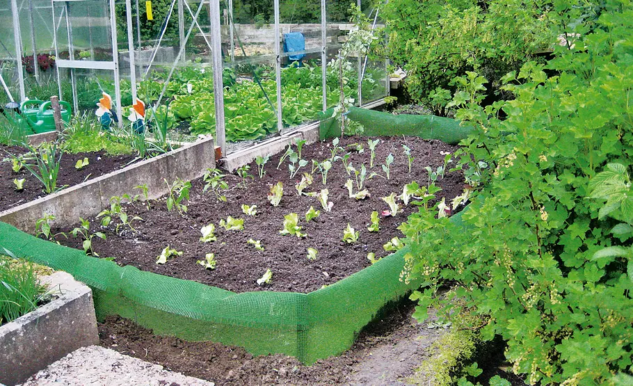 Tipps für einen pflegeleichter Garten Pflegeleichter Garten