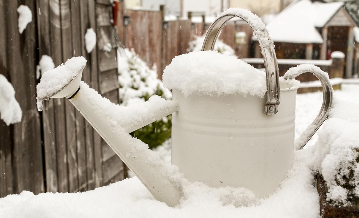 Ist Schnee als Gießwasser eine Alternative zu Regenwasser?