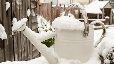 Ist Schnee als Gießwasser eine Alternative zu Regenwasser? - Foto: iStock / Upyanose