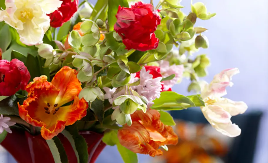 Schnittblumen