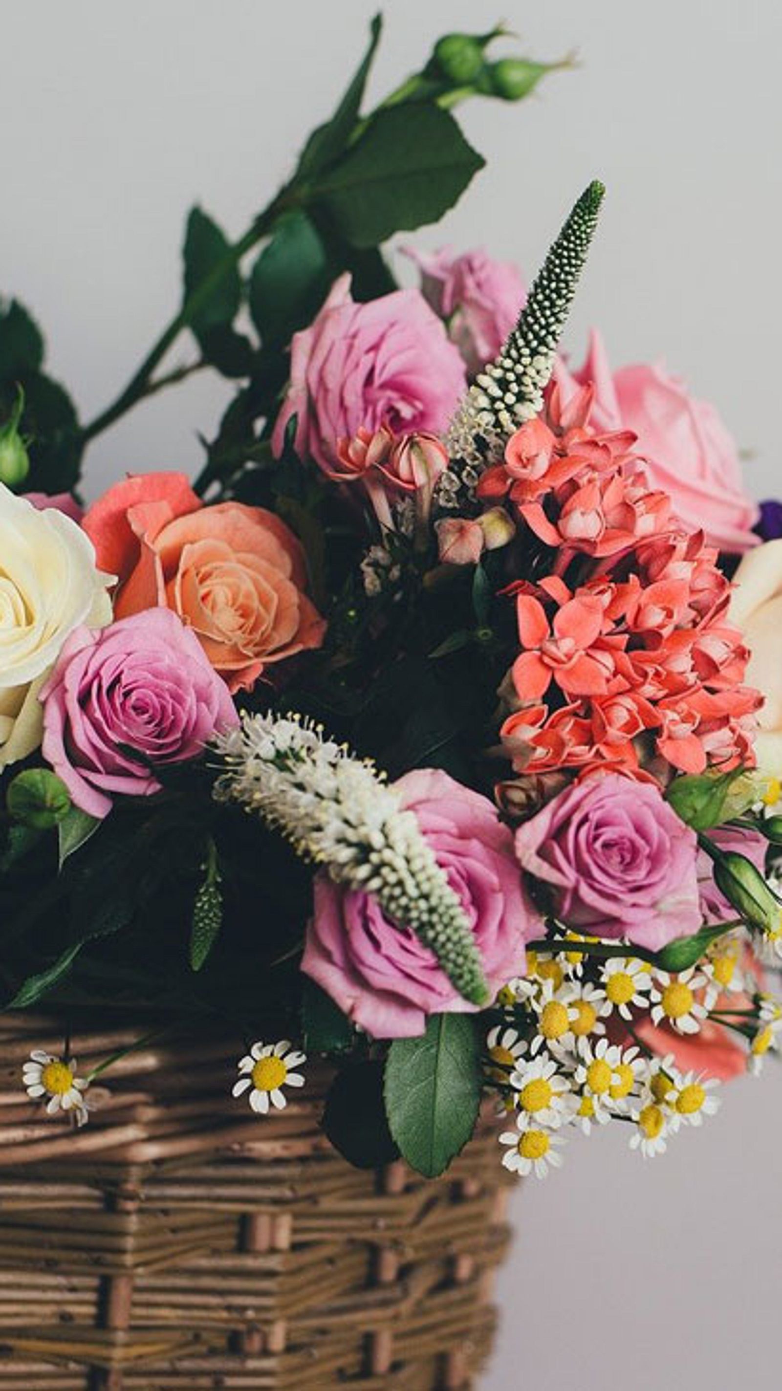 Schnittblumen haltbar machen | Selbst