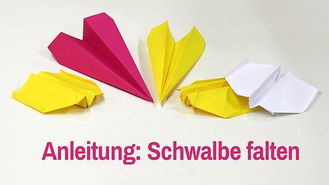 Papierflieger-Anleitung - Foto: sidm / BW