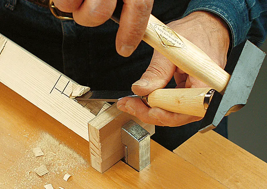 Halbverdeckter Schwalbenschwanz Halbverdeckter Schwalbenschwanz