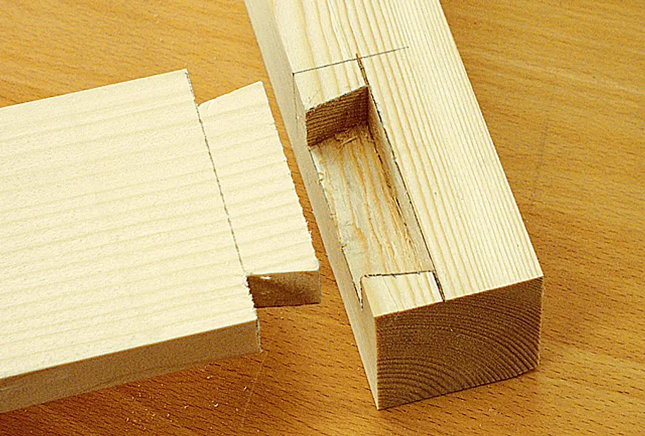 Halbverdeckter Schwalbenschwanz Halbverdeckter Schwalbenschwanz
