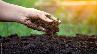 Ratgeber Pflanzerden Muttererde oder Mutterboden - Foto: iStock / Sasiistock