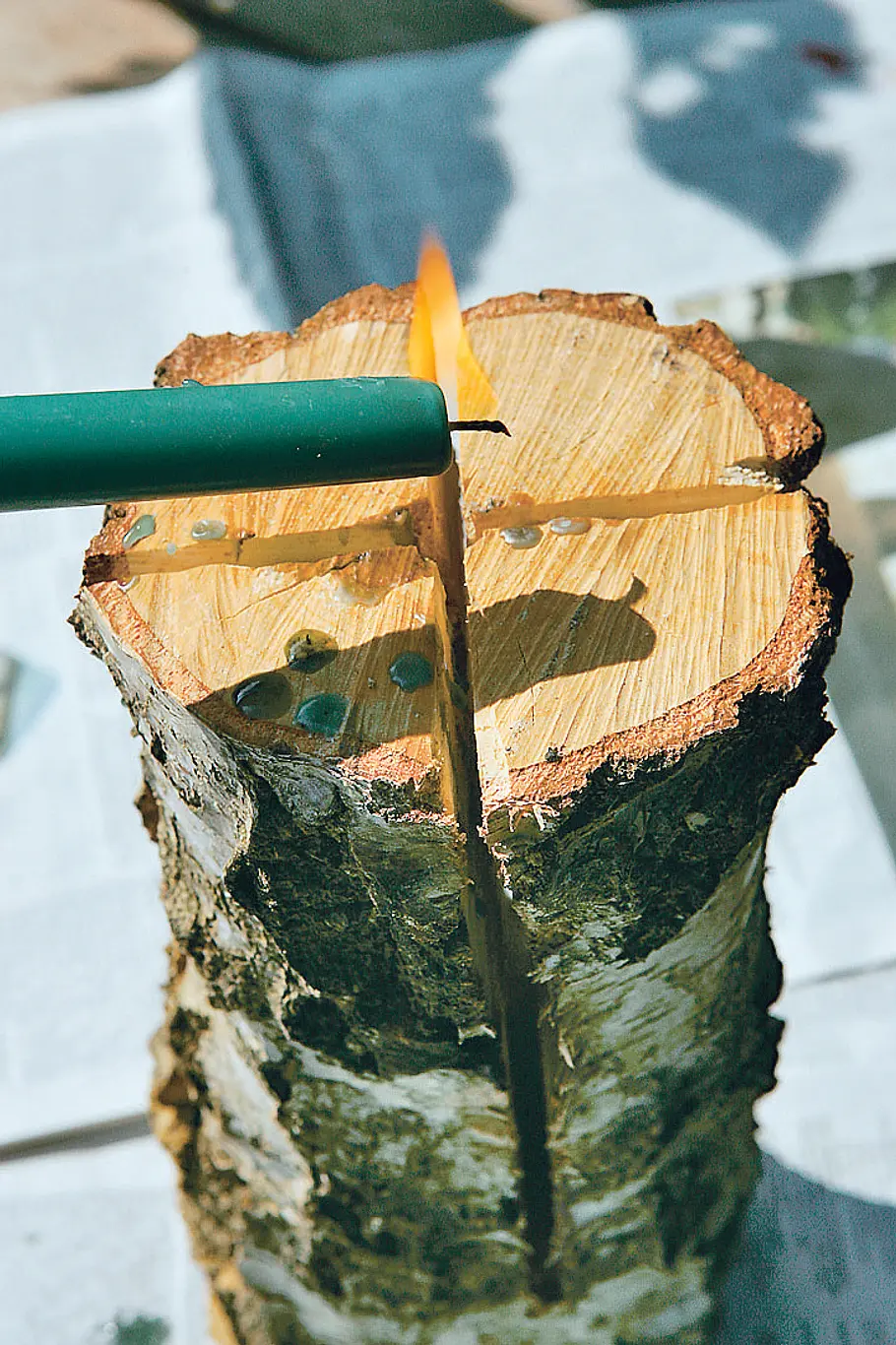 Schwedenfeuer bauen Baumfackel: Schwedenfeuer selbst bauen