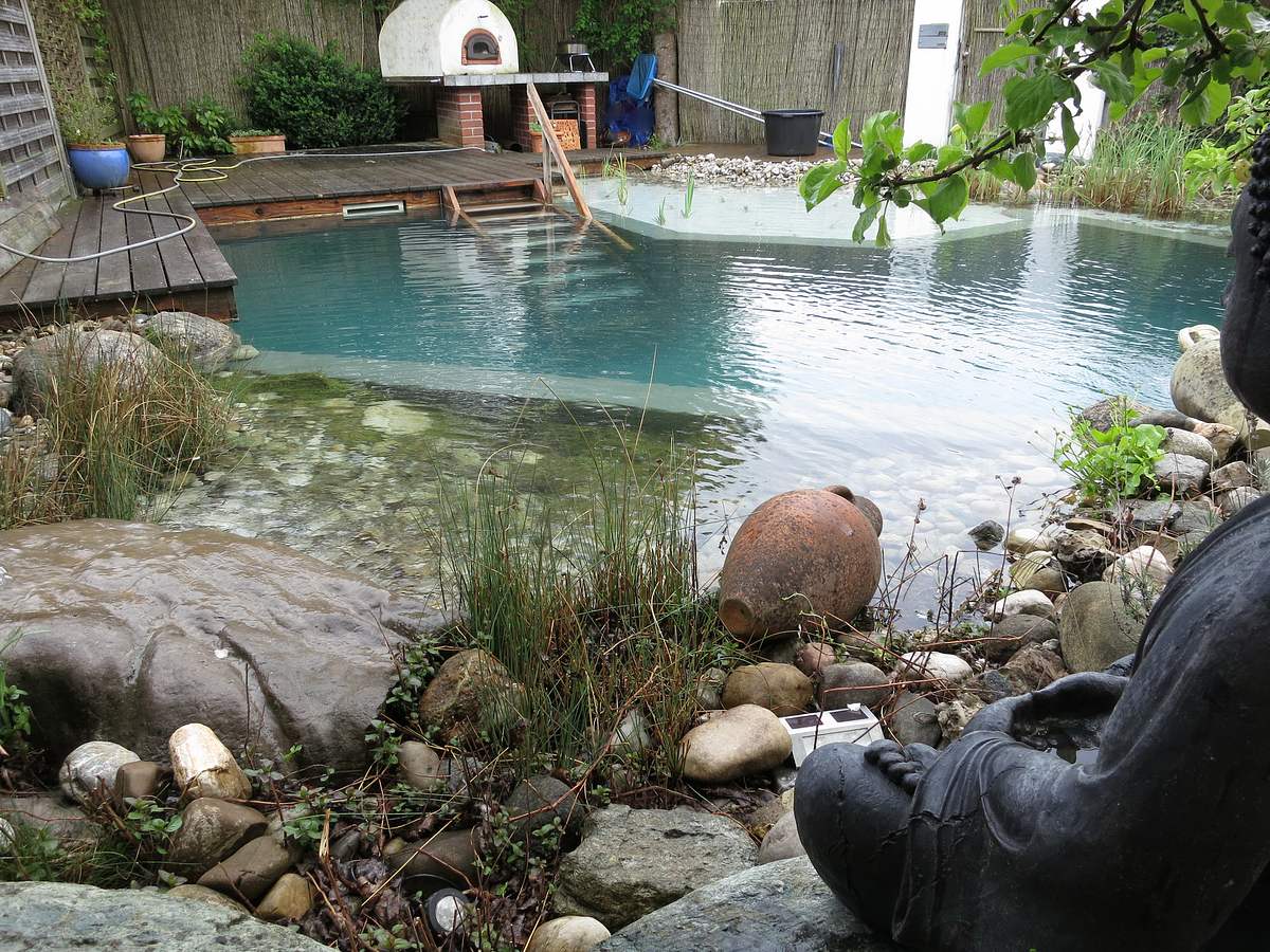 Naturschwimmteich selber bauen Naturschwimmteich selber bauen - so nahtlos fügt sich der Schwimmteich in den heimischen Garten ein