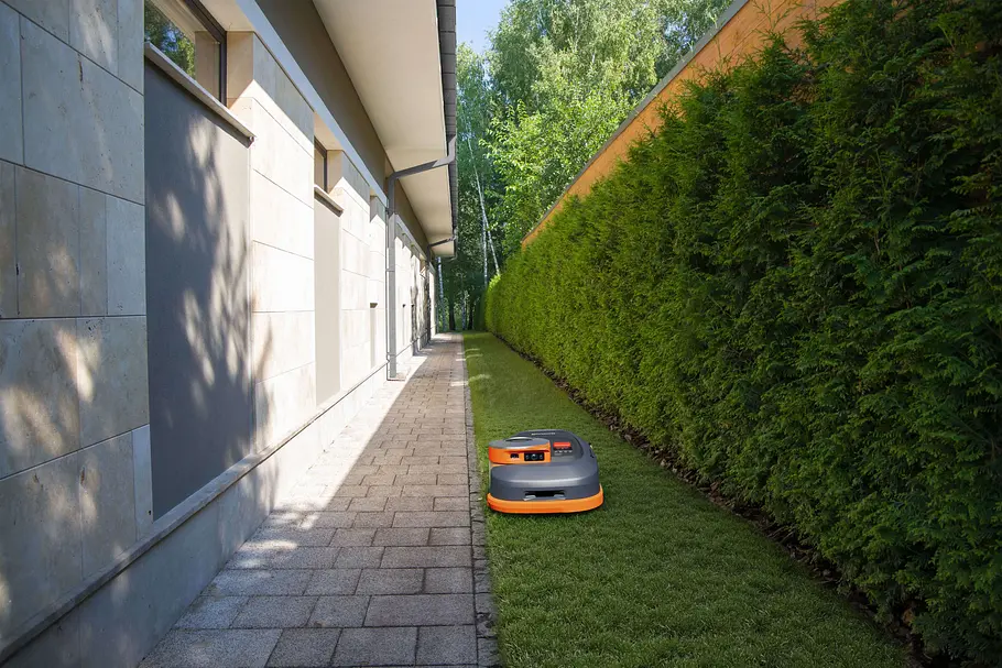 Segway im Garten Segway im Garten