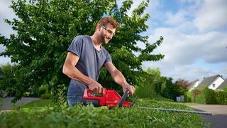 Die besten Akku-Heckenscheren - Foto: PR/ Amazon/ WOLF-Garten