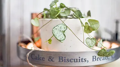 Shabby Chic Deko - Foto: Pixabay/ Martina_zalitobetonem Shabby Chic Deko - Foto: Pixabay/ Martina_zalitobetonem