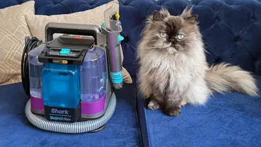 Shark StainStriker steht auf einem blauen Sofa neben einer langhaarigen, sitzenden Katze. - Foto: PR / selbst.de Shark StainStriker steht auf einem blauen Sofa neben einer langhaarigen, sitzenden Katze. - Foto: PR / selbst.de